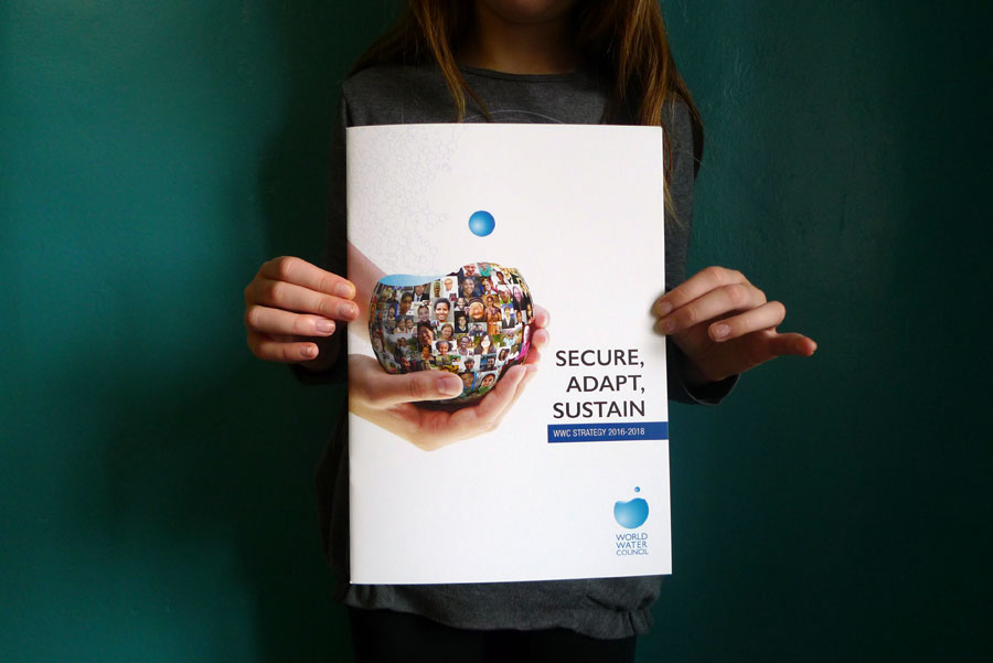 World Water Council - Strategy Report