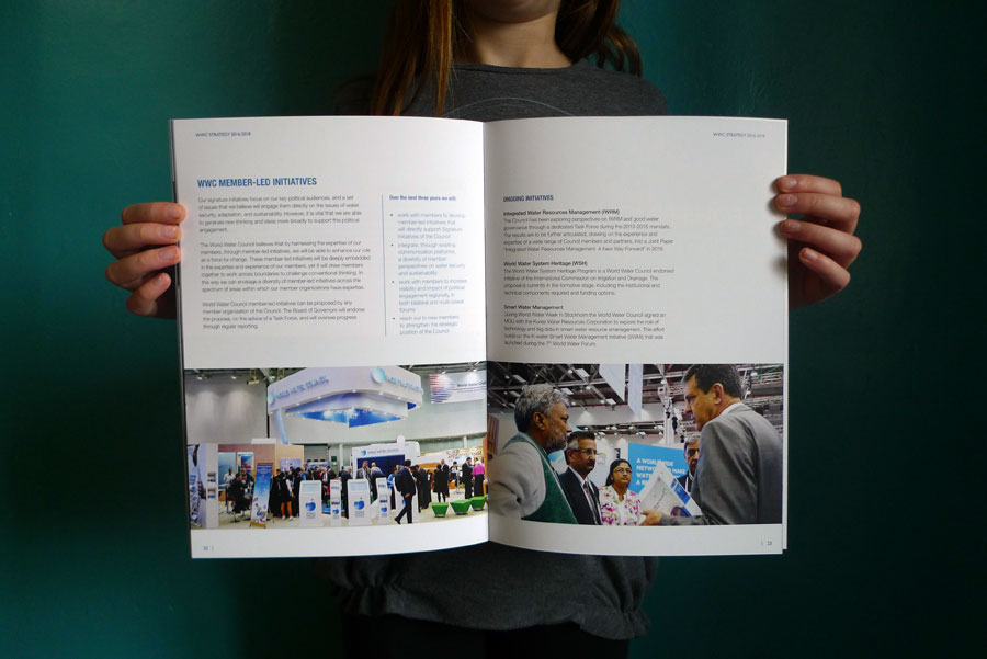 World Water Council - Strategy Report