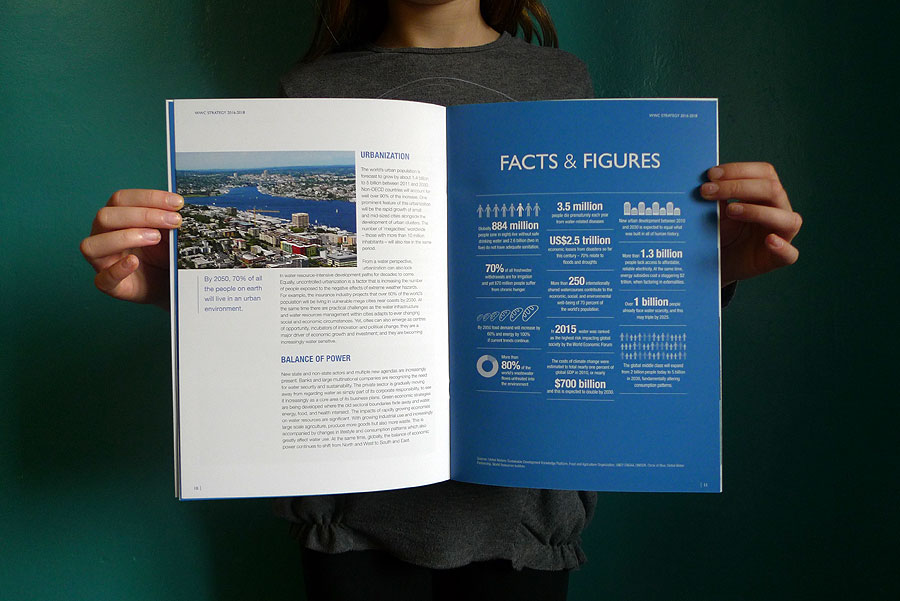 World Water Council - Strategy Report