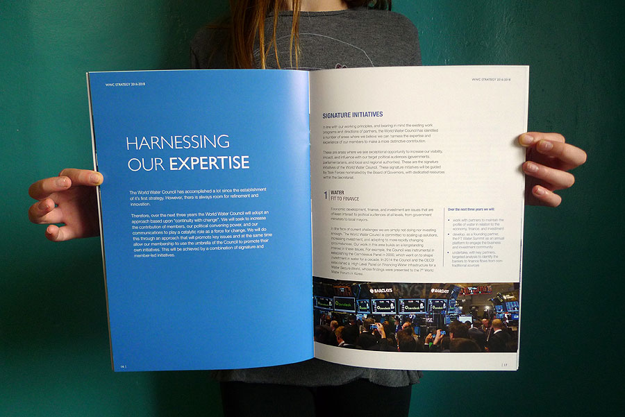 World Water Council - Strategy Report