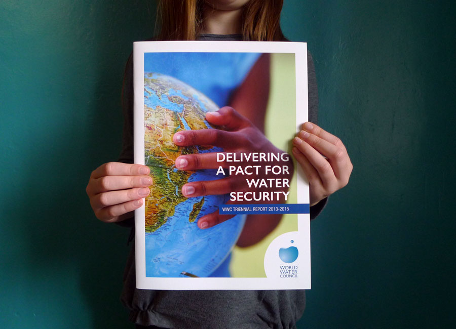 World Water Council - Strategy Report